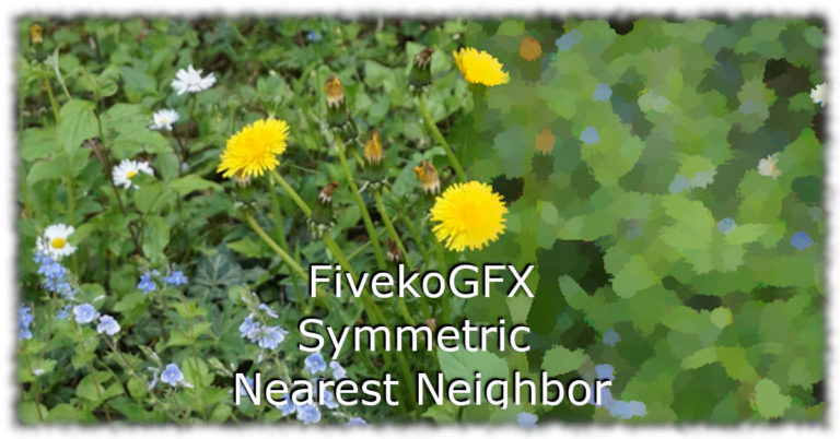 How to implement Symmetric Nearest Neighbor with FivekoGFX API
