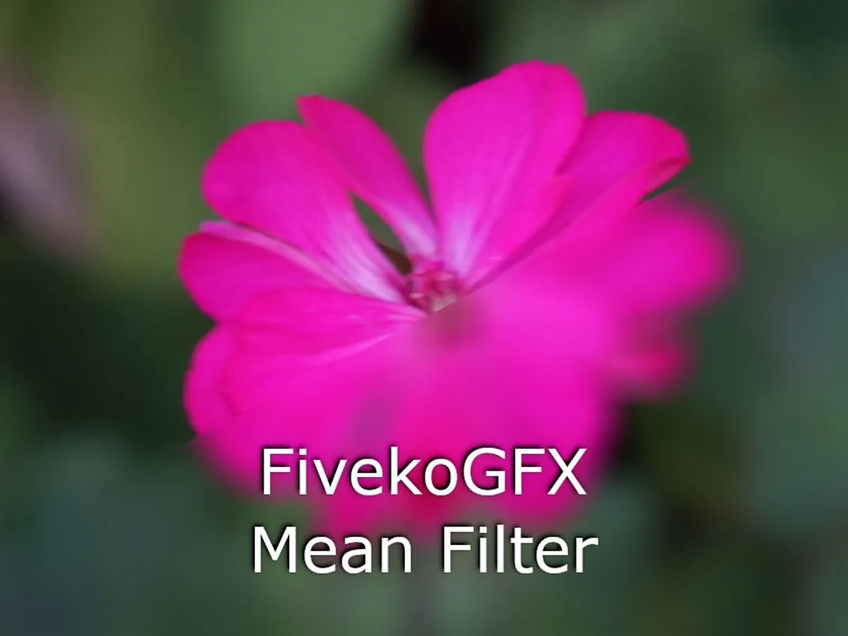 Mean Filter: Box blur for fast noise reduction