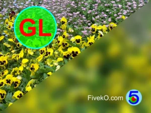 Gaussian Blur with GLSL: Image blurring effect using a GLSL shader