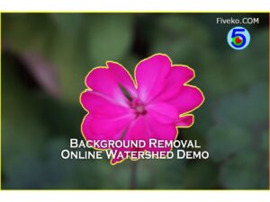 Watershed Demo - Online Background Removal