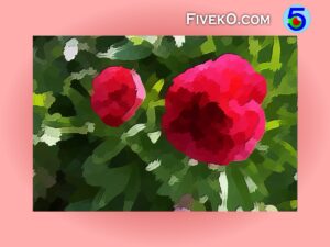 Picture Oil Painting Effects
