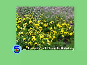 Turn Your Photos into Beautiful Oil Paintings!